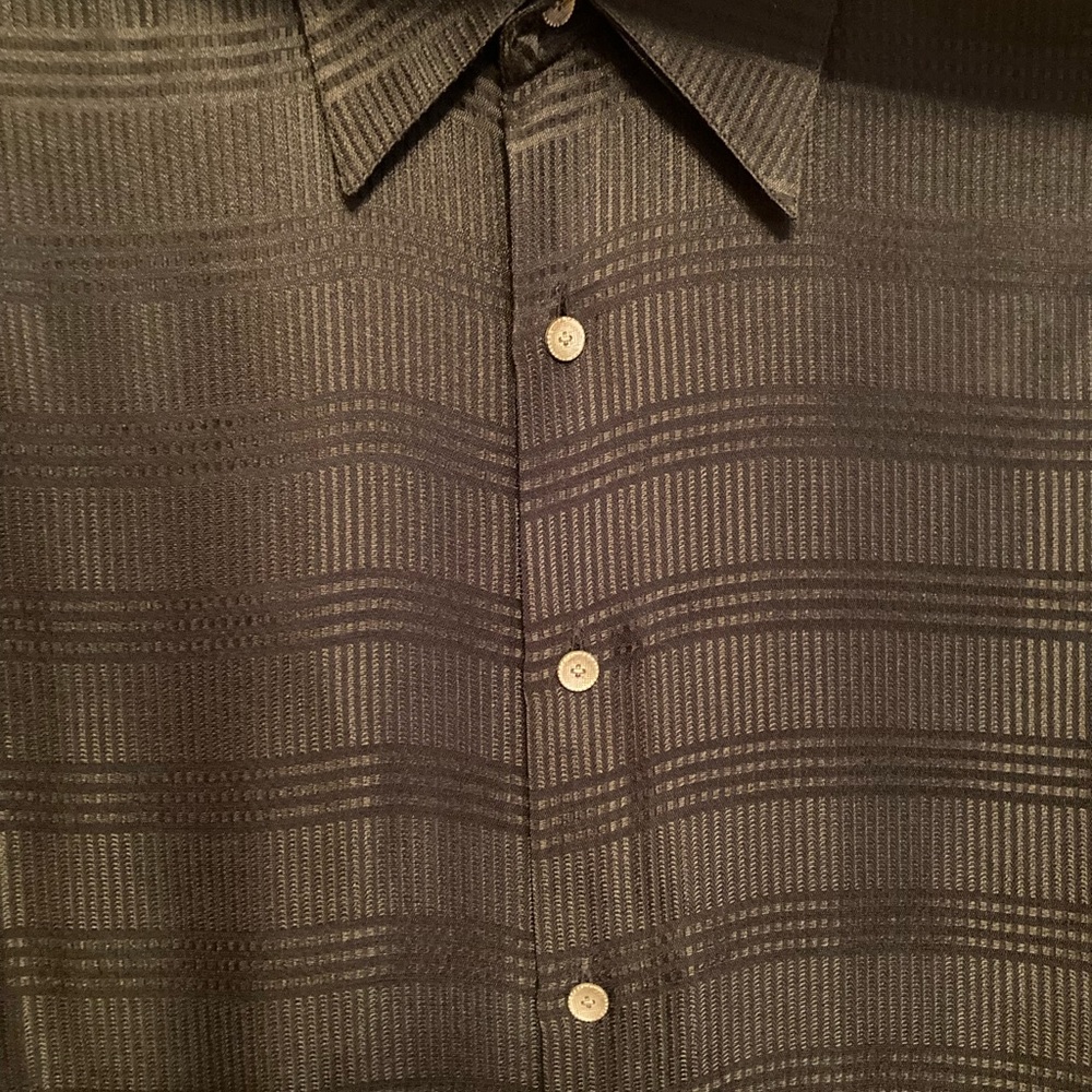 Mens silk dress shirt.